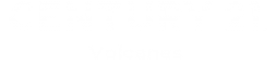CENTURY 21 Volcanes
